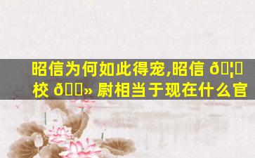 昭信为何如此得宠,昭信 🦅 校 🌻 尉相当于现在什么官